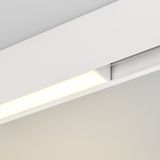 d_DL-12600-0311.jpg