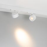 b_DL-12600-0568.jpg