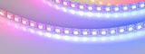 f_DL-06400-0024.jpg