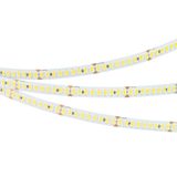 d_DL-06300-0095.jpg