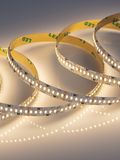 a_DL-06100-0006.jpg