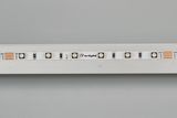 e_DL-06160-0054.jpg