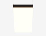 b_DL-05-1679.jpg