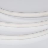 a_049787.jpg