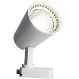 a_41605.jpg