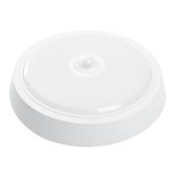 a_41795.jpg