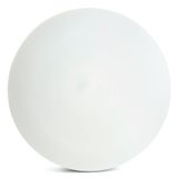 b_51111.jpg