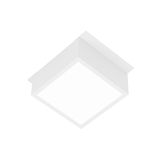 a_038332.jpg