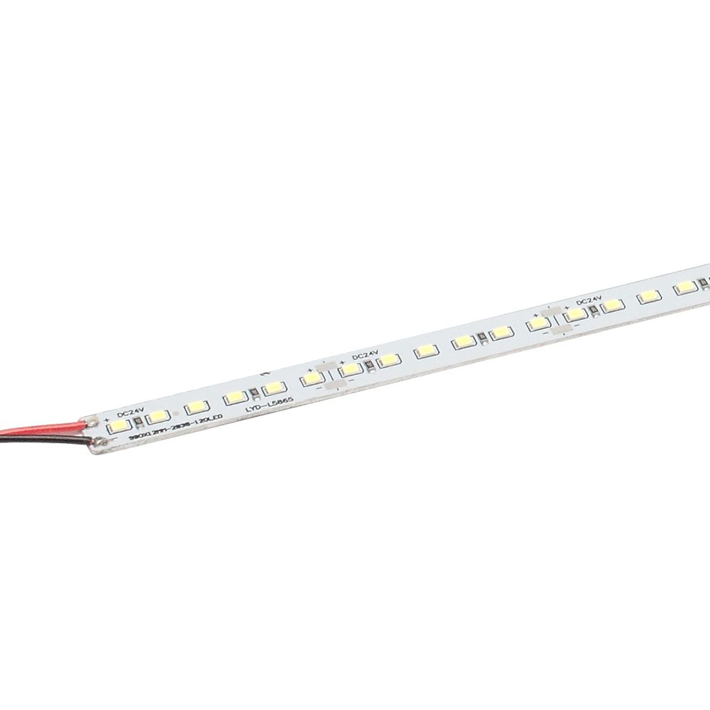 b_79704.jpg