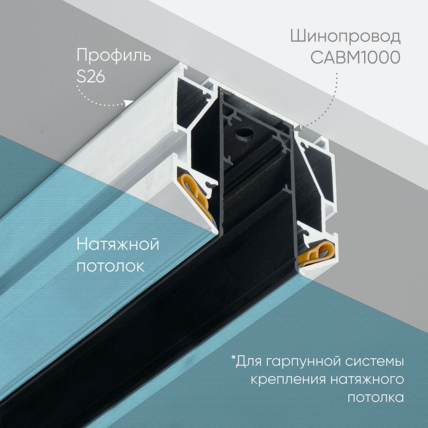 b_48286.jpg