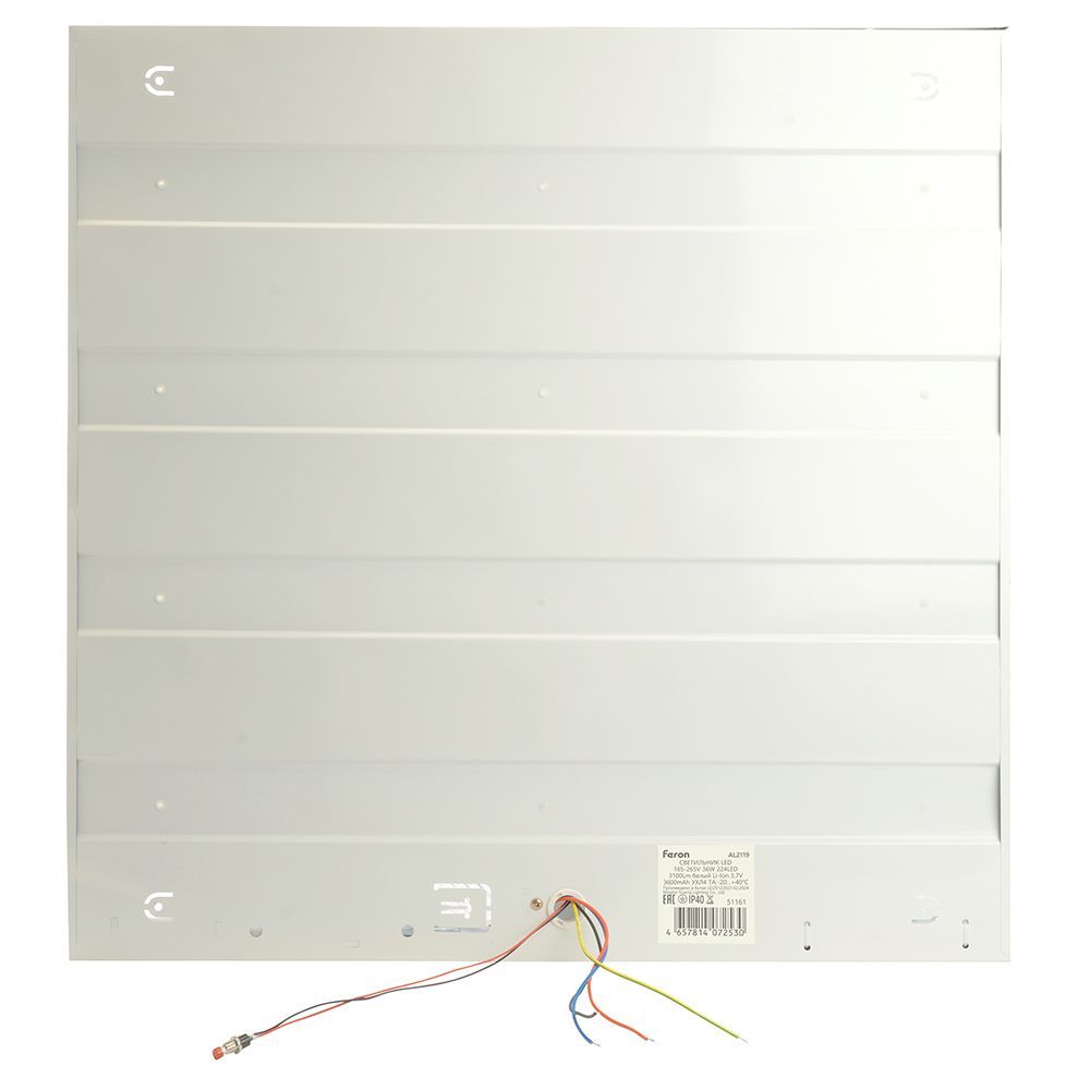 d_51161.jpg