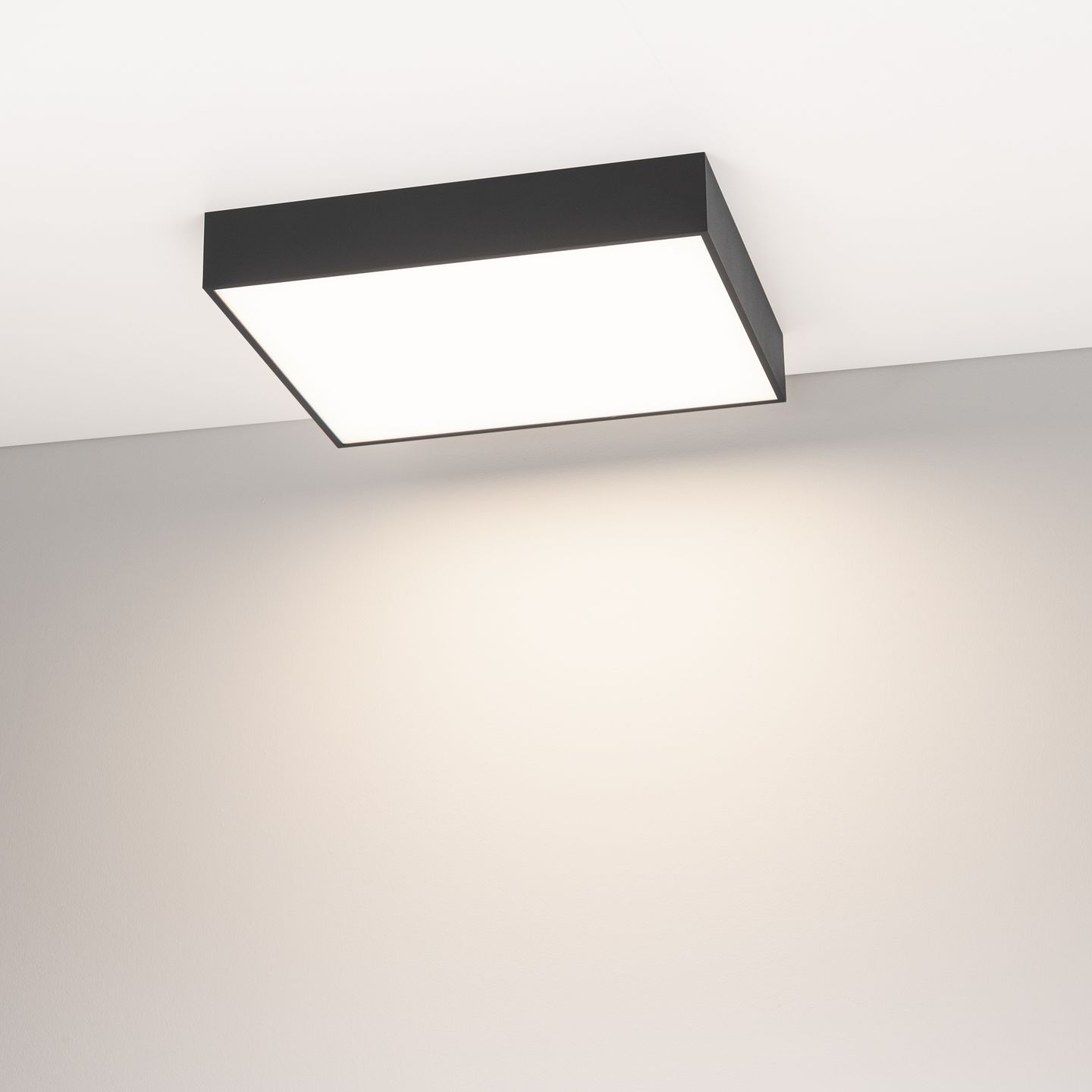 d_DL-12400-0484.jpg