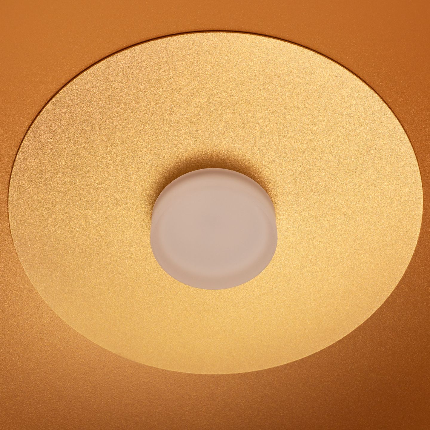 c_DL-12400-0505.jpg