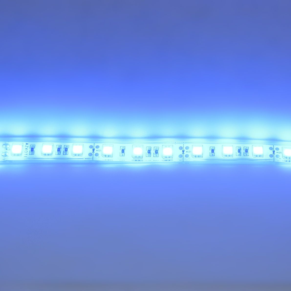 d_30126.jpg