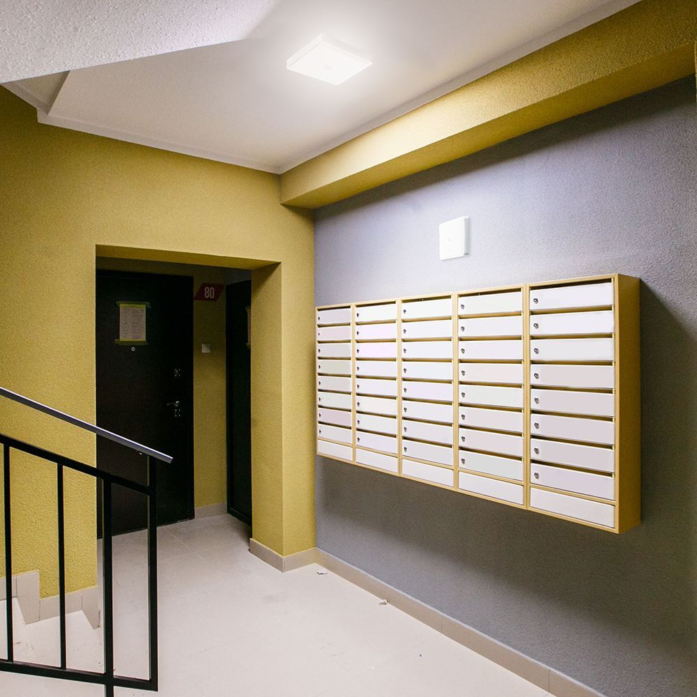 e_41800.jpg