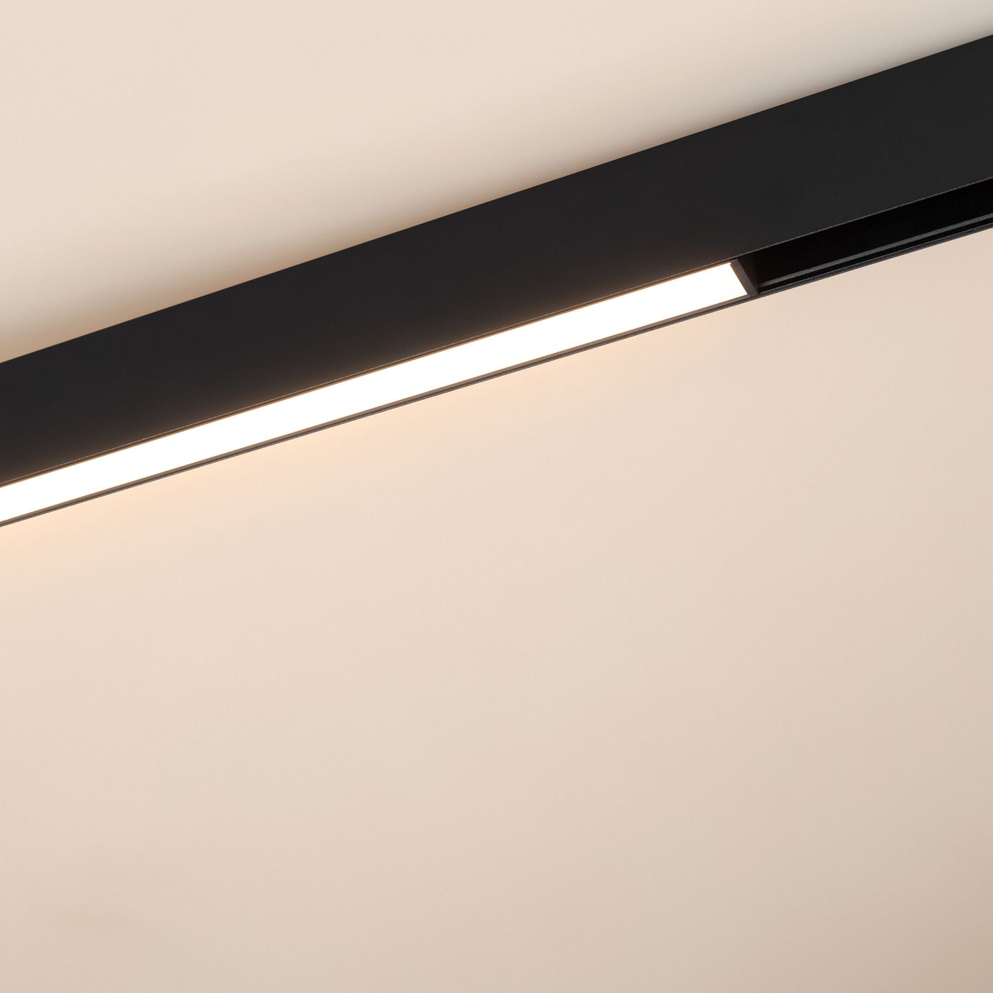 d_DL-12600-0502.jpg