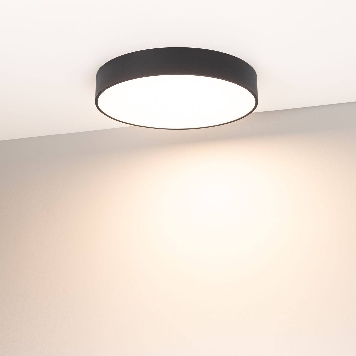 b_DL-12700-0085.jpg