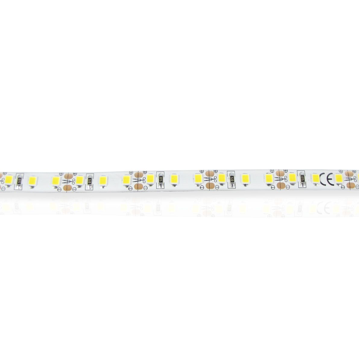 b_53306.jpg